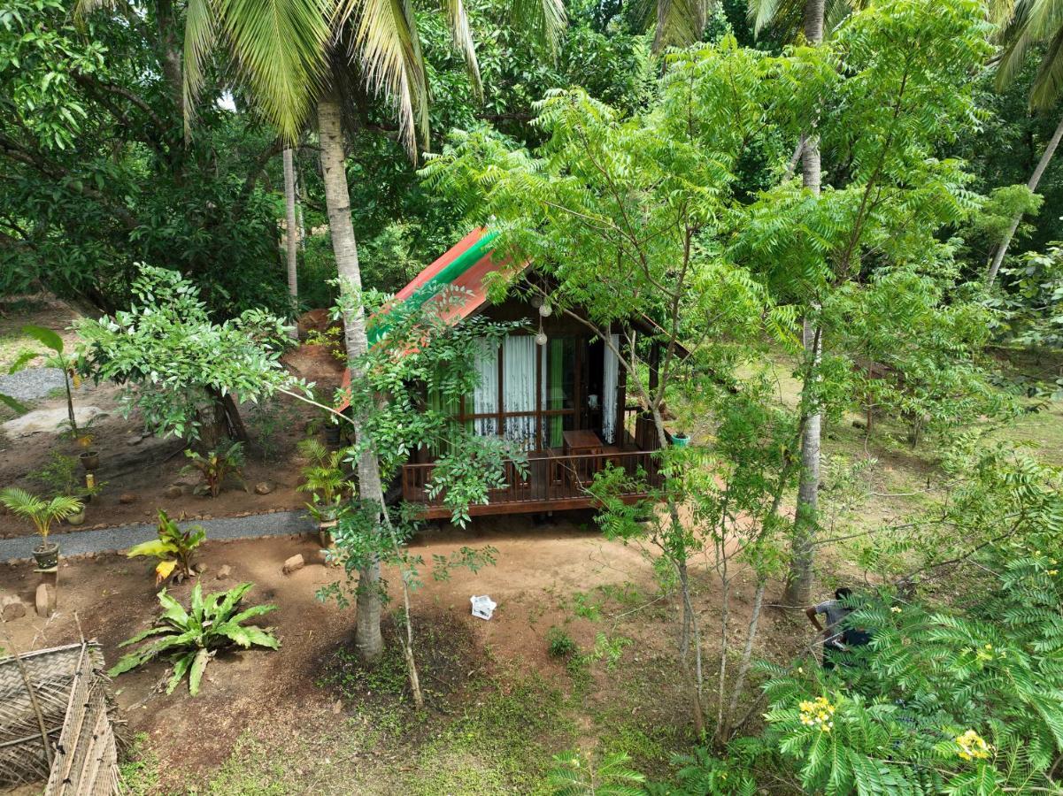 达瓦拉维 Coconut Tree House酒店 外观 照片