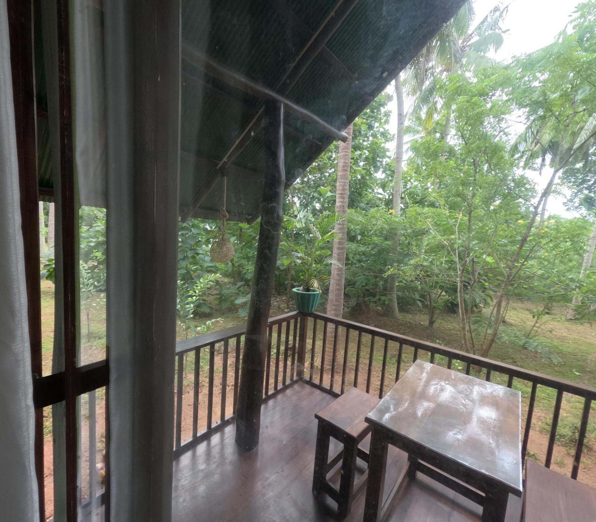 达瓦拉维 Coconut Tree House酒店 外观 照片