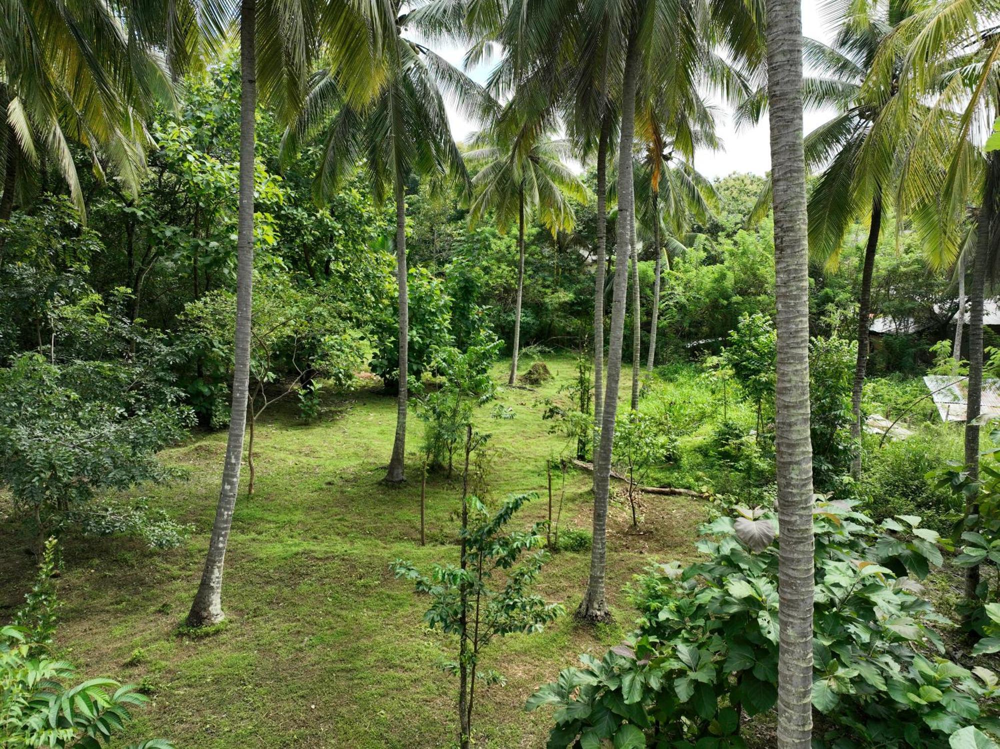 达瓦拉维 Coconut Tree House酒店 外观 照片