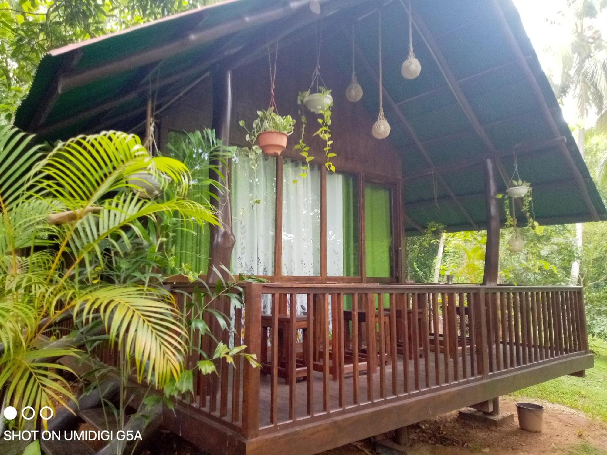 达瓦拉维 Coconut Tree House酒店 外观 照片