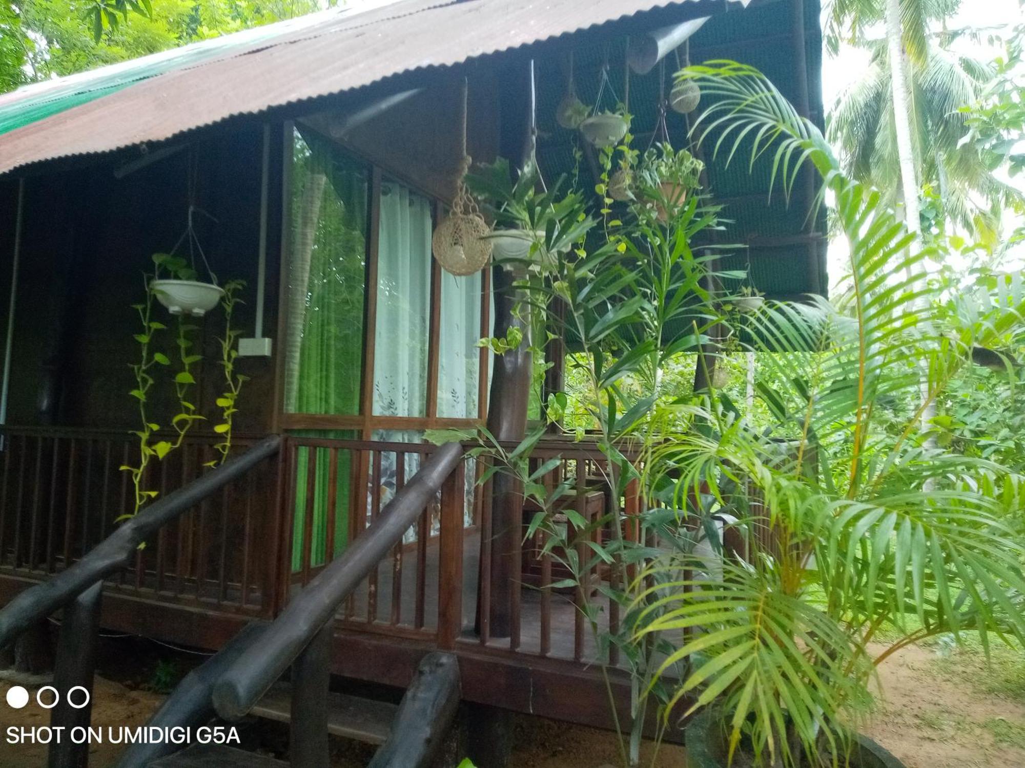 达瓦拉维 Coconut Tree House酒店 外观 照片