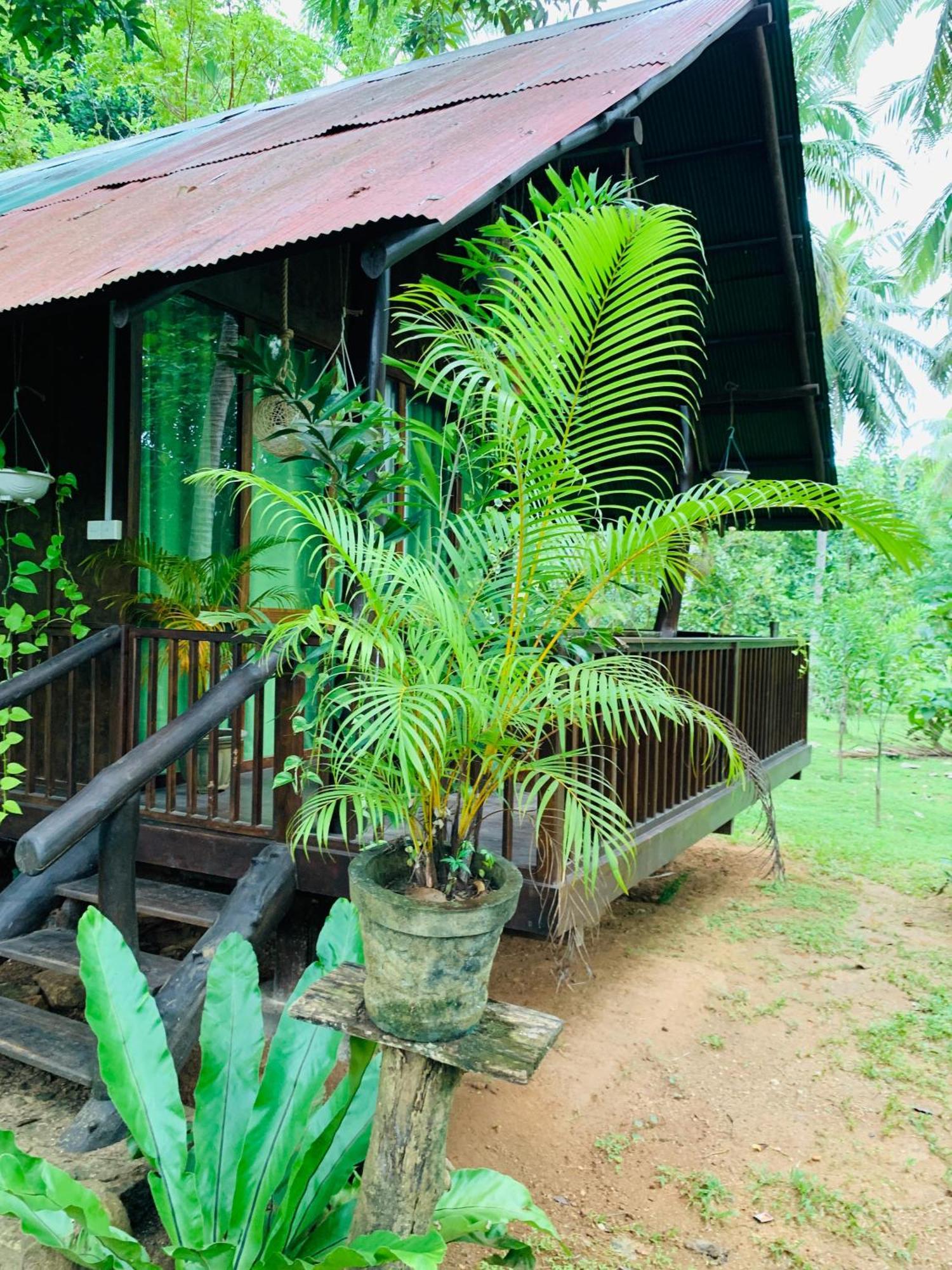 达瓦拉维 Coconut Tree House酒店 外观 照片