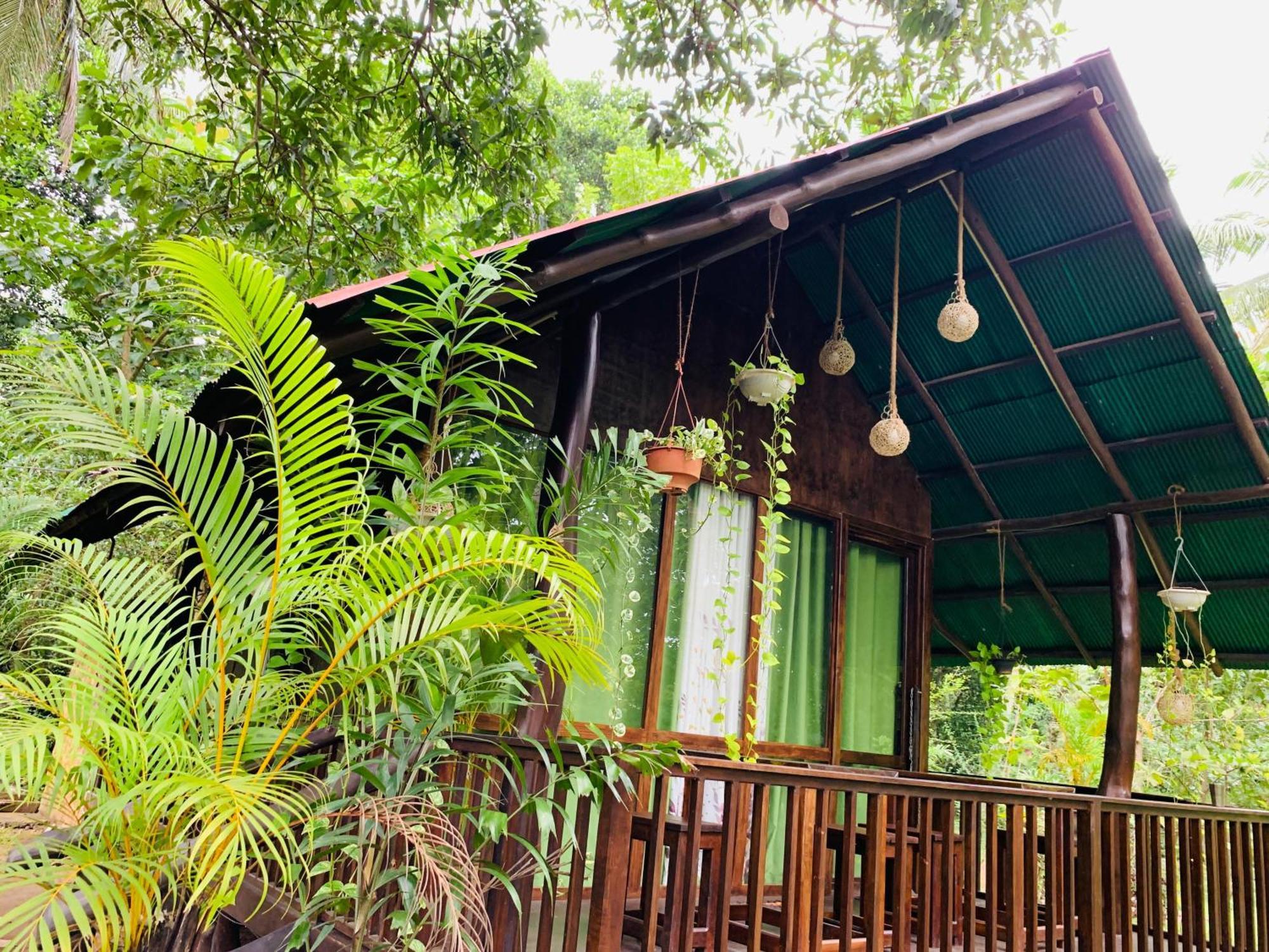 达瓦拉维 Coconut Tree House酒店 外观 照片