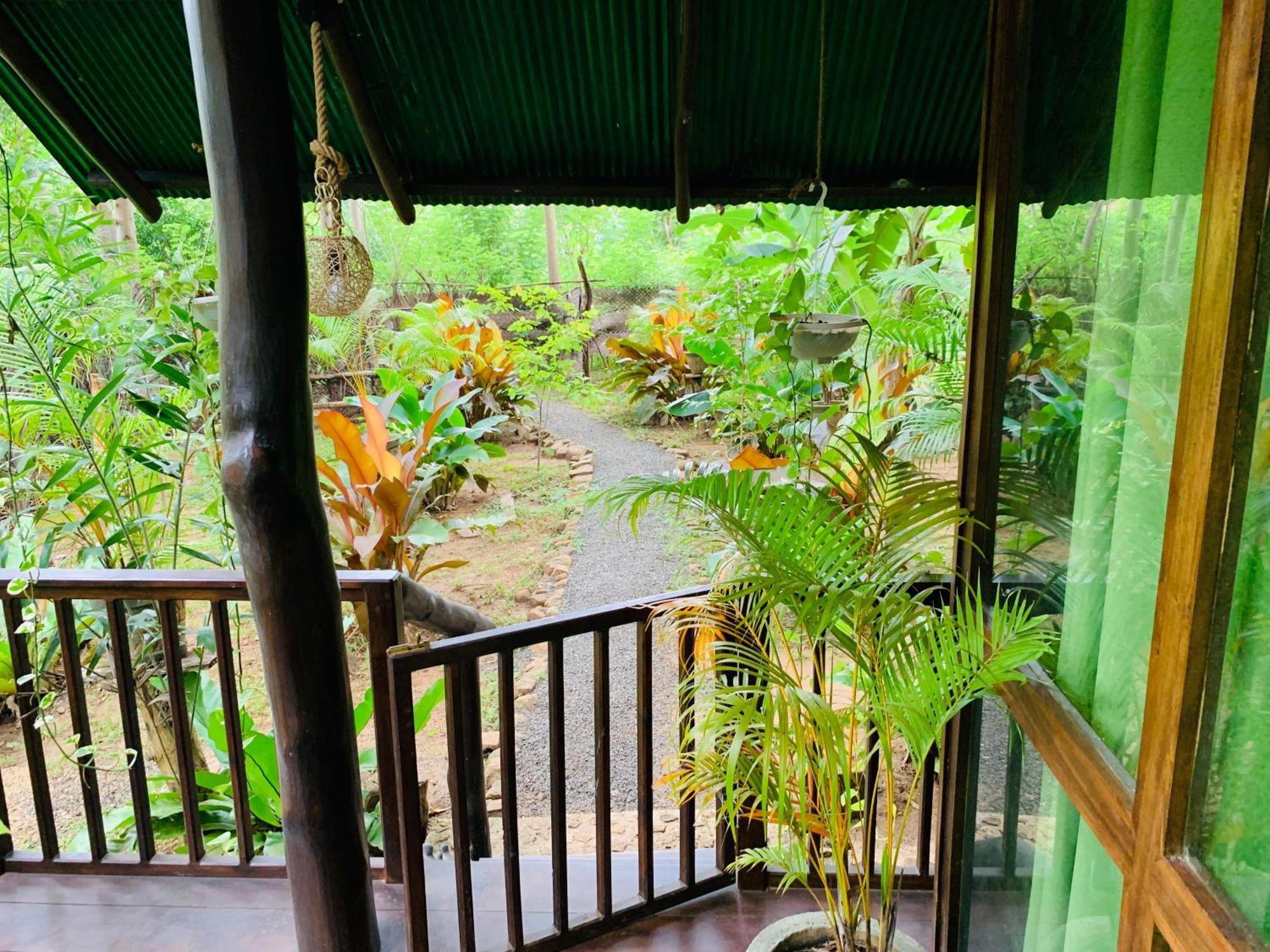 达瓦拉维 Coconut Tree House酒店 外观 照片