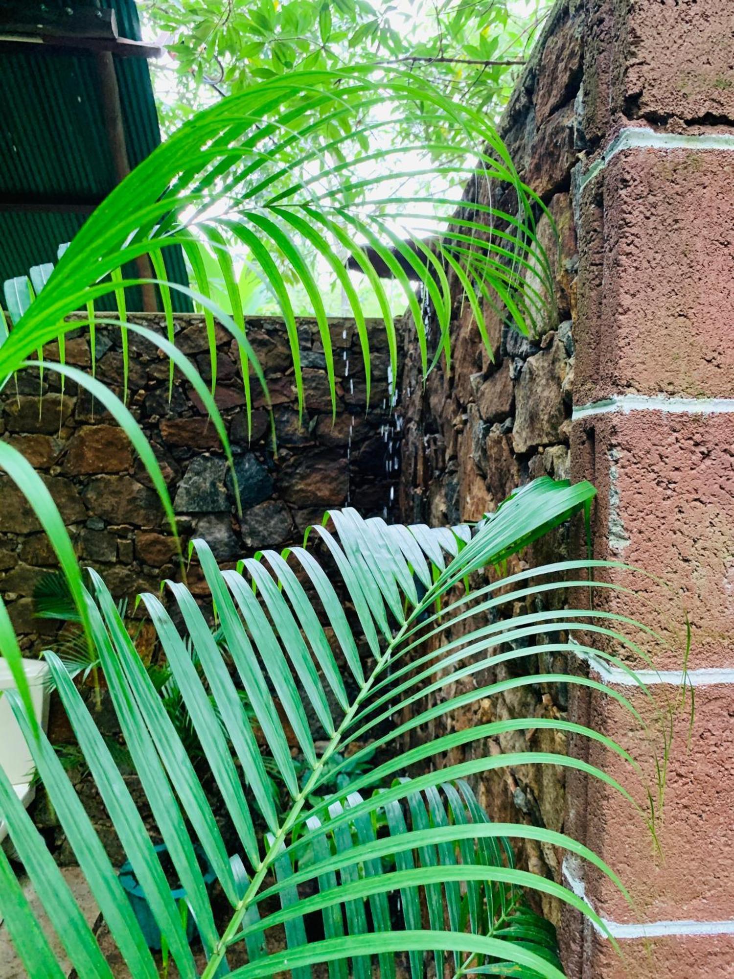 达瓦拉维 Coconut Tree House酒店 外观 照片