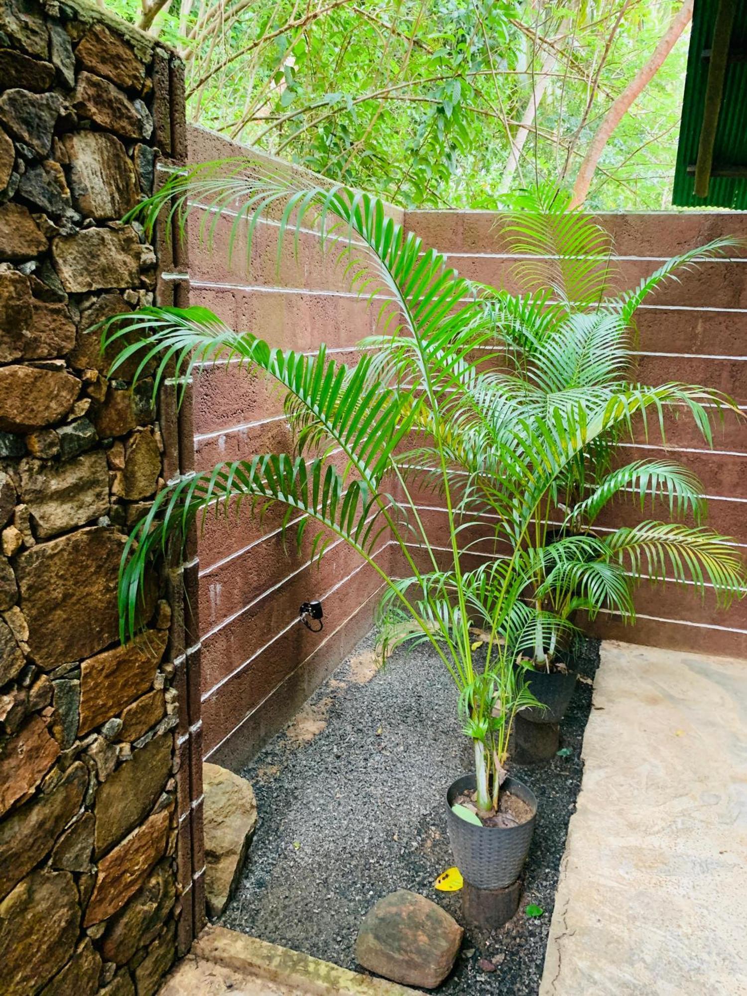 达瓦拉维 Coconut Tree House酒店 外观 照片