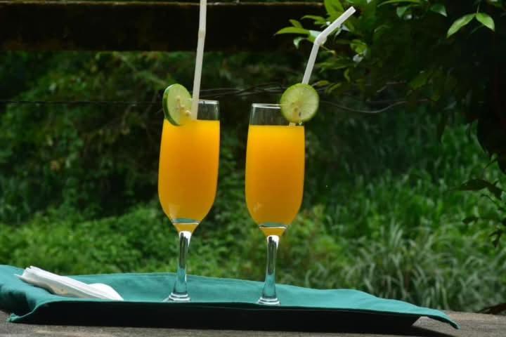达瓦拉维 Coconut Tree House酒店 外观 照片